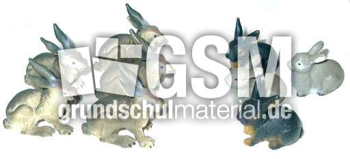 Hasen5+4.jpg